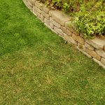 Artificial turf grass front lawn during deep cleaning